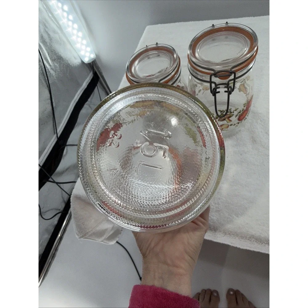 ARC France Vintage Spice Of Life Mushroom Veg Glass Canister Jar Set Of 3 1970s
